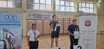 СтониТенис